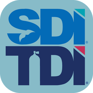 sditdi